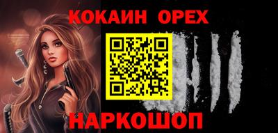 шишки Кандалакша