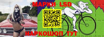 шишки Кандалакша