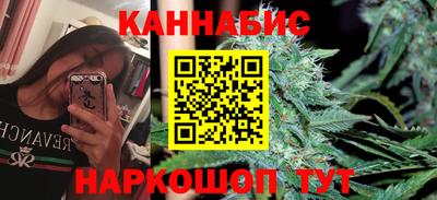 шишки Кандалакша
