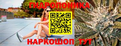 шишки Кандалакша