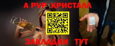 шишки Кандалакша