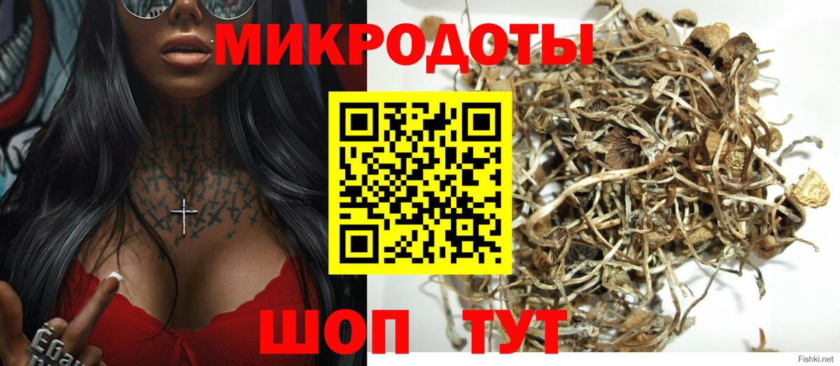 Псилоцибиновые грибы мицелий Карачаевск