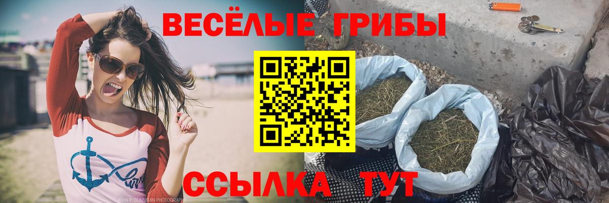 Карачаевск  Псилоцибиновые грибы MAGIC MUSHROOMS  Вход с VPN 